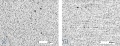 Thumbnail for version as of 17:55, 17 February 2014