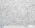 Micro structure of AgCdO9010ZH.jpg