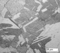 Coarse grain micro structure of Ag.jpg