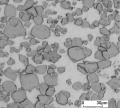 Micro structure of W Cu 70 30 G.jpg