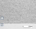 Micro structure of Ag SnO2 88 12 WPD.jpg