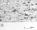 Micro structure of Ag SnO2 88 12 WPX.jpg