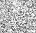 Fine grain microstructure of AgNiO.jpg