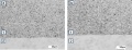 Micro structure of Ag SnO2 92 8 WTOS F.jpg